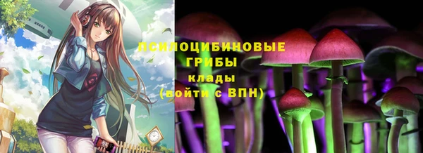 ПСИЛОЦИБИНОВЫЕ ГРИБЫ Армянск