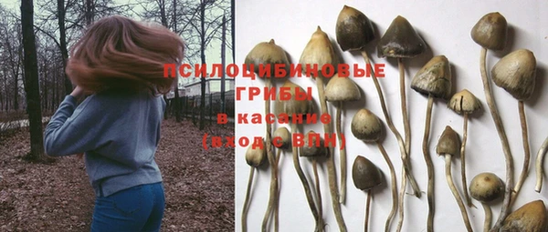 амф Арсеньев