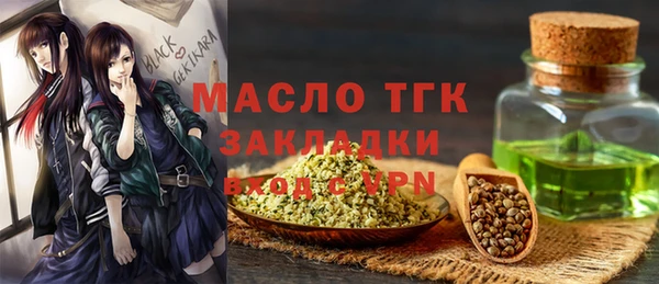 хмурый Няндома